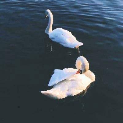 开元·app下载手机版