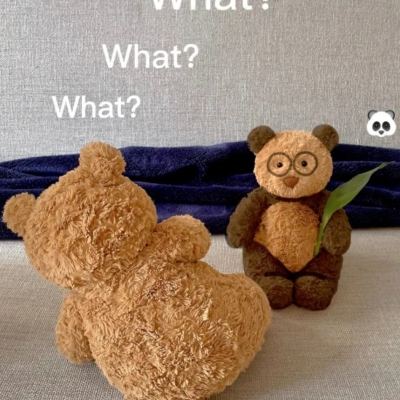 半岛·综合下载手机版