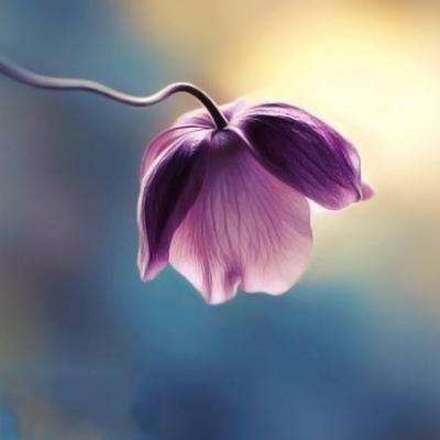 开元娱乐app官网版