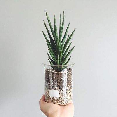 新澳门游戏网站入口