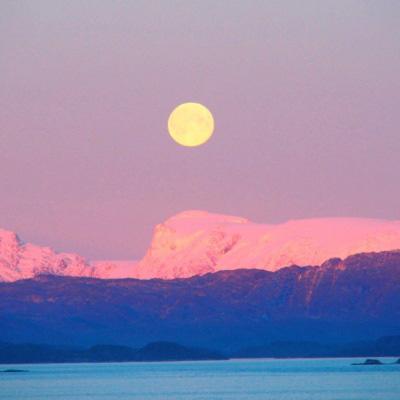 博鱼(boyu)·体育手机app下载