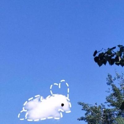 三张牌下载金花免费