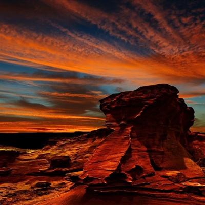 bob综合app官方下载