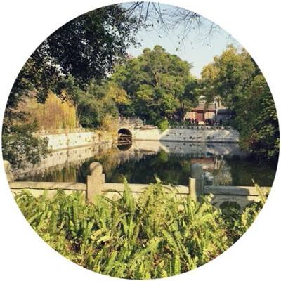 足球赌注软件手机app下载